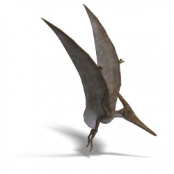 Autocollant dinosaure Pteranodon