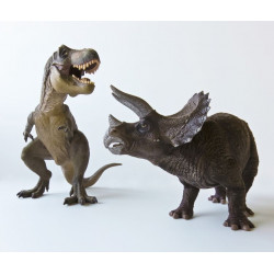 Sticker dinosaure Rex et Triceratops
