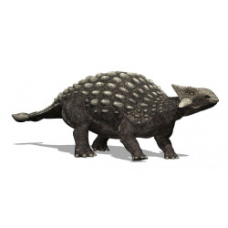 Sticker dinosaure ankylosaure