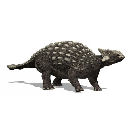 Sticker dinosaure ankylosaure