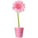 Sticker mural fleur rose en pot