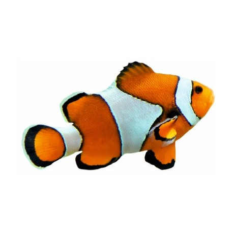 Sticker poisson clown deco