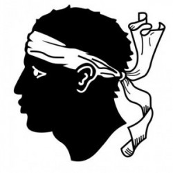 LOT stickers Arrière voiture - Revendeurs