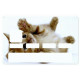 Sticker carte bancaire Chatton