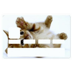 Sticker carte bancaire Chatton