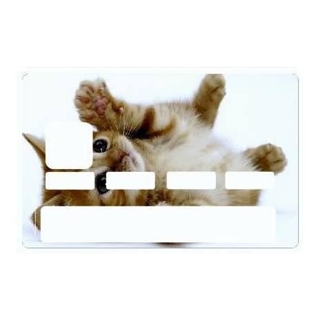 Sticker carte bancaire Chatton