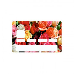 Sticker carte bancaire Montagne