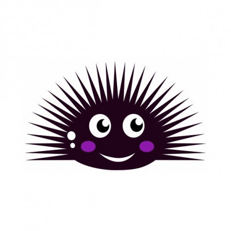 Sticker Mer Oursin