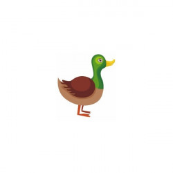 Sticker Animaux ferme Canard