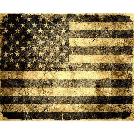 Sticker Etats Unis Dollar