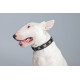 Sticker bullterrier profil