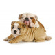 Sticker bulldog dort