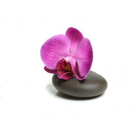 Sticker Galets avec fleurs jaune