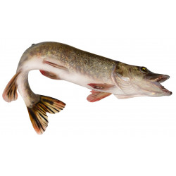 deco Sticker brochet