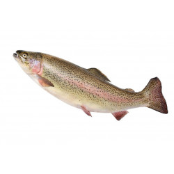 Autocollant mural saumon deco