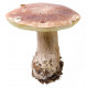 Sticker champignon rouge amanite