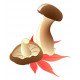 Sticker champignon pied de mouton