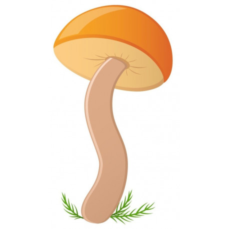 Sticker champignon Cépe