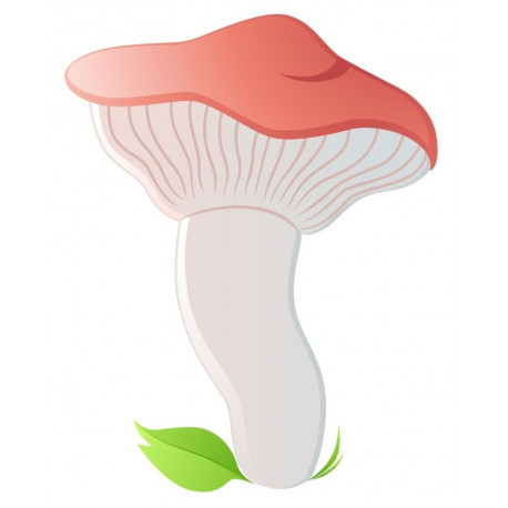 Sticker champignon rouge amanite