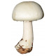Sticker champignon blanc
