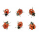 Sticker coccinelle dort