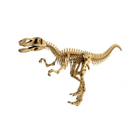 Sticker dinosaure squelette Tirex