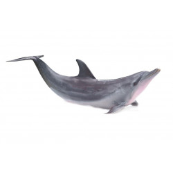 Sticker mer Dauphin eau