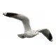 Sticker mer Mouette vol