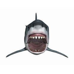 Sticker mer Requin attaque