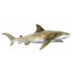 Sticker mer Requin attaque dents