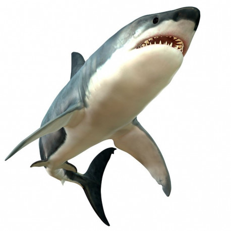 Sticker mer Requin attaque dents
