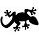 Sticker Salamandre