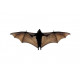 Sticker chauve souris en vol