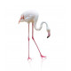 Sticker Oiseaux - flamant rose blanc