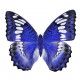 Sticker Papillon - bleu marine