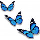 Autocollant Papillon - bleu planche