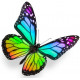 Sticker muraux Papillon arc en ciel