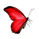 Sticker Papillon rouge