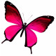 Sticker Papillon rouge, rose et violet
