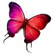 Sticker Papillon rouge, rose et violet