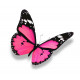 Sticker Papillon rose et noir