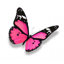 Sticker Papillon rose et noir