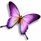 Sticker Papillon violet et blanc