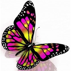 Sticker Papillon jaune et rose