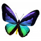 Sticker Papillon vert bleu et violet