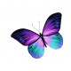 Sticker Papillon violet et bleu