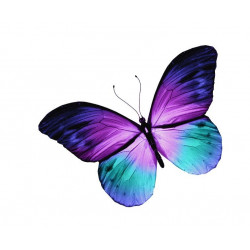 Sticker Papillon violet et bleu