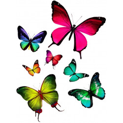Autocollant planche papillons