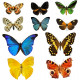 Stickers muraux planche papillons
