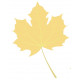 Sticker feuilles arbre orange